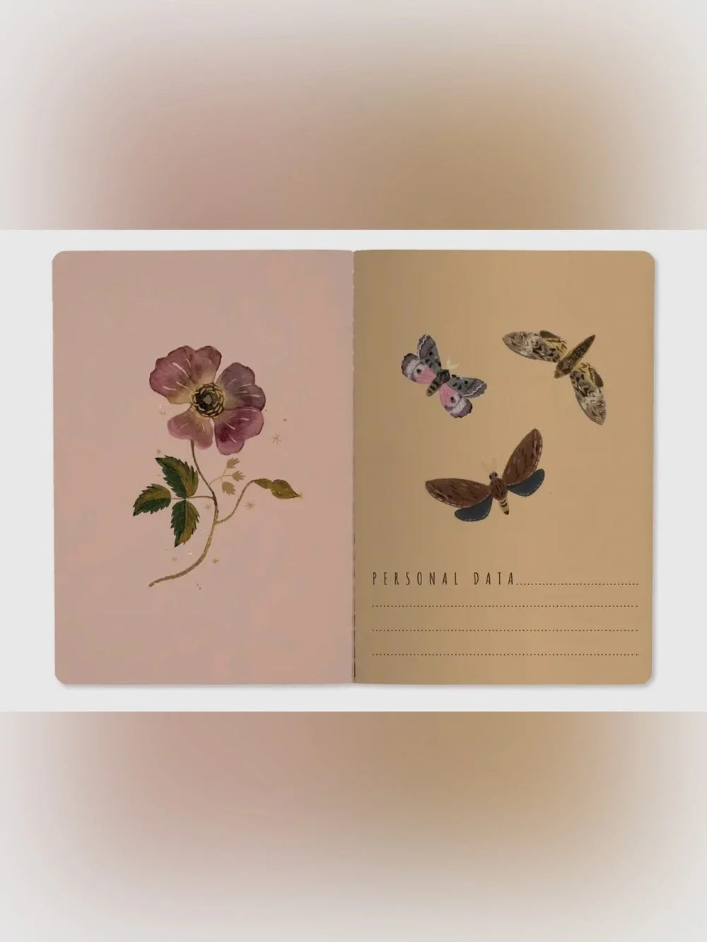 BV By Bruno Visconti charming pack